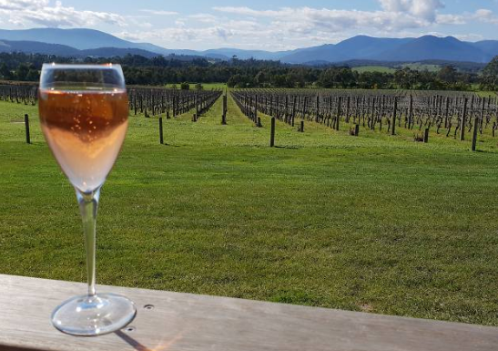 Yarra Valley Wines
