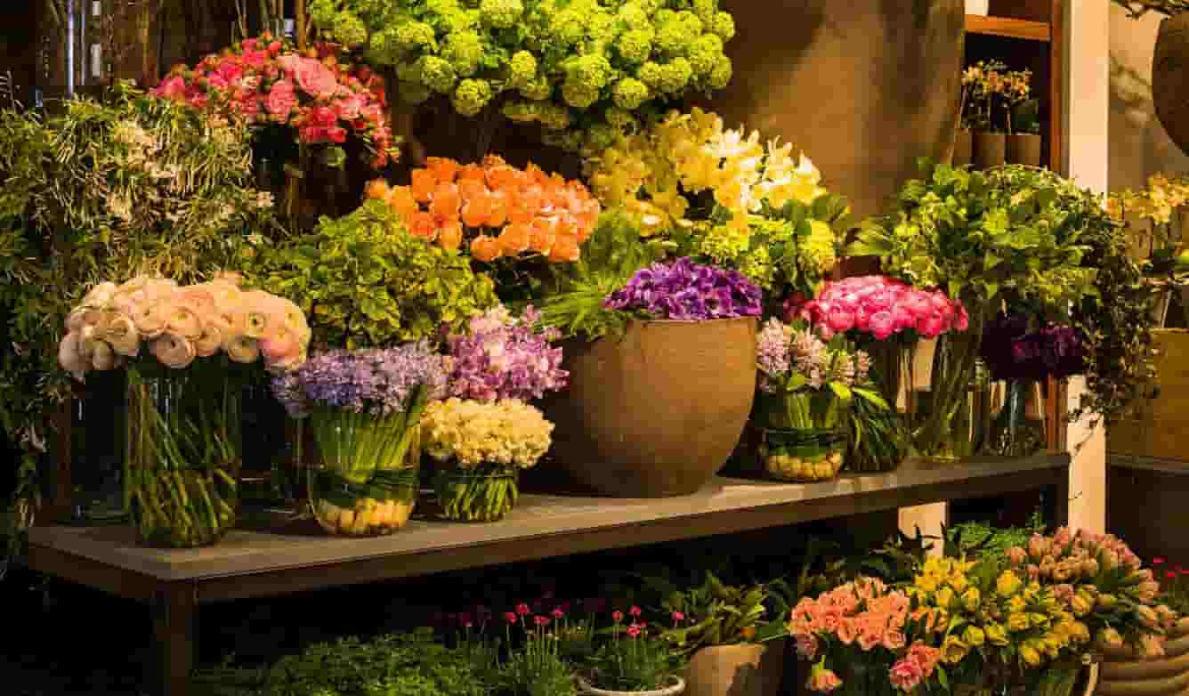 Flower Shop A Comprehensive Guide To Getting The Perfect Blooms